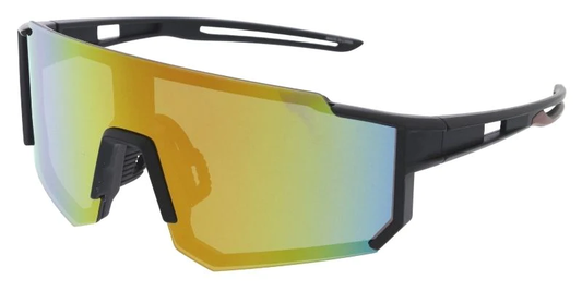 SA930 Fashion Sunglasses