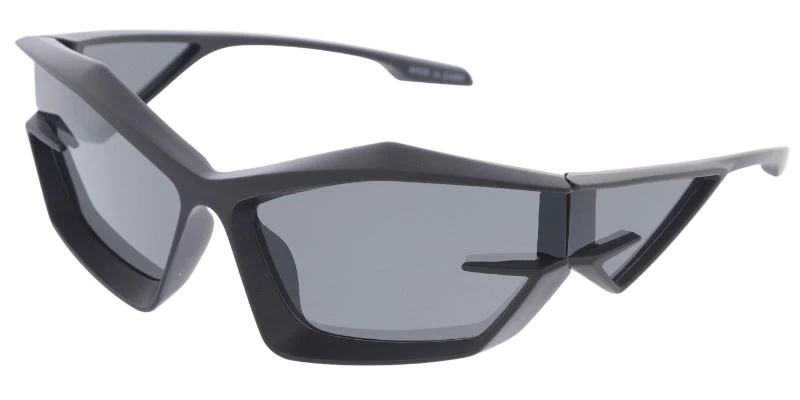 SA896 Fashion Sunglasses