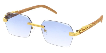 SA889 Fashion Sunglasses