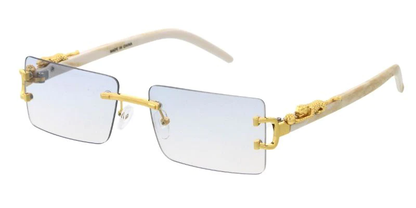 SA876 Fashion Sunglasses