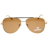 8104P Polarized Aviator