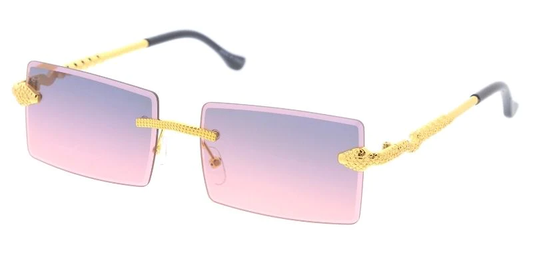 SA892 Fashion Sunglasses