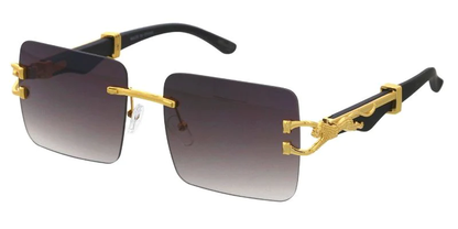 SA877 Fashion Sunglasses